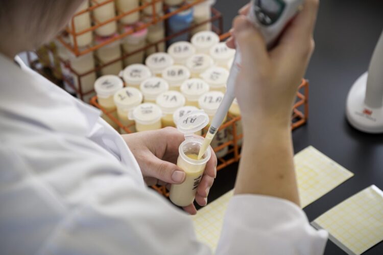 KMC plans to test quality of milk soon