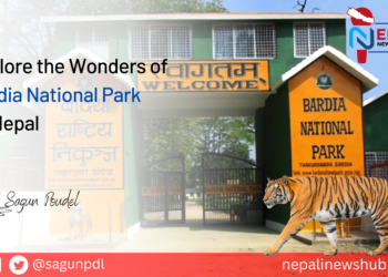 Explore the Wonders of Bardia National Park  in Nepal