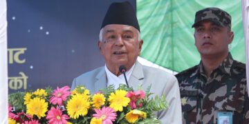 Embracing constitutional spirit is a respect to martyrs-President
