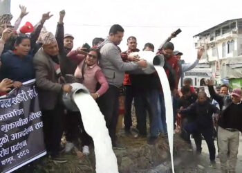 Chitwan farmers protest by pouring milk on streets