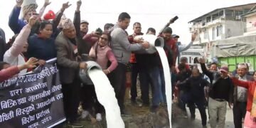 Chitwan farmers protest by pouring milk on streets