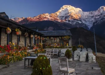 Top 10 Homestays for an Authentic Cultural Experience