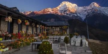 Top 10 Homestays for an Authentic Cultural Experience