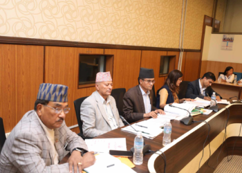 Probe panel begins investigation, submits files of 20 troubled cooperatives