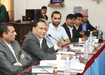 Kulman Ghising warns of power disconnection if industries fail to settle dues within three months