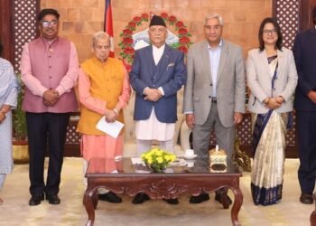 Ruling coalition voices objection to “influence” in Rabi Lamichhane investigation