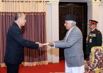 Newly appointed ambassadors present credentials to President