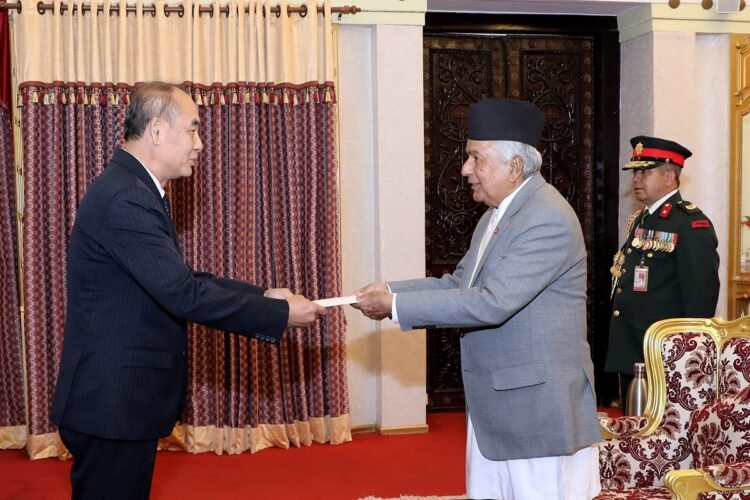 Newly appointed ambassadors present credentials to President