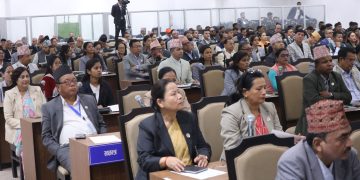 House of Representatives forms 10 thematic committees