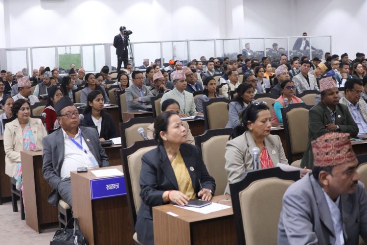 House of Representatives forms 10 thematic committees