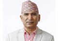 Special Court orders Bishnu Poudel released on bail