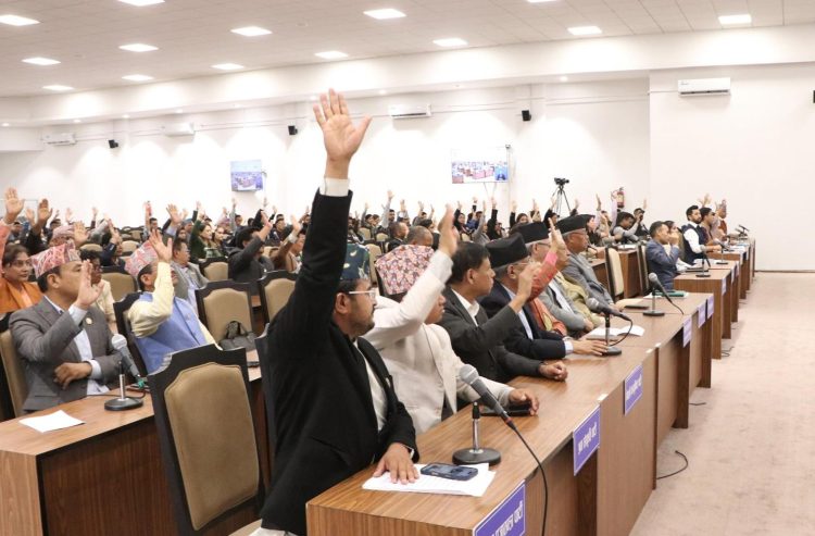 House of Representatives passes special motion on Bhotekoshi flood disaster